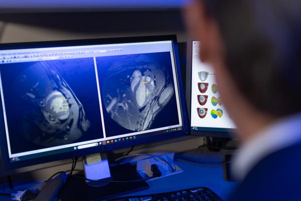 Image of researcher looking at heart on screen